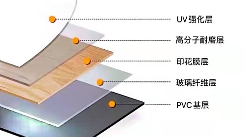 博凱、大巨龍PVC復合地板剖析